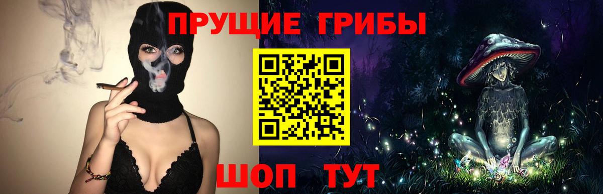 Янаул  Псилоцибиновые грибы прущие грибы  Вход с VPN 
